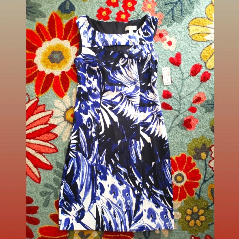 NWT Dress Barn Size 6